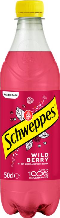 Actual product image Schweppes Wild Berry (6 x 50 cl)