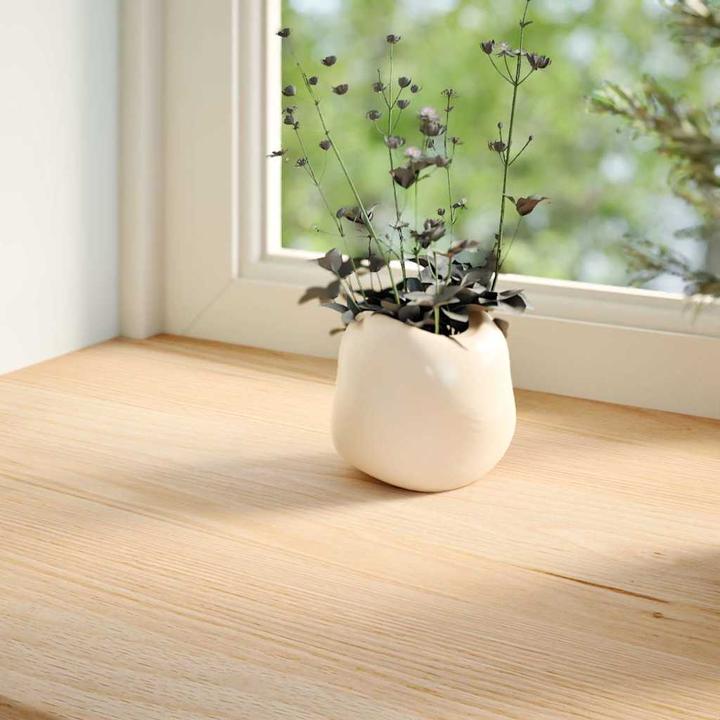 Actual product image VidaXL Window sills 2 pcs. Untreated oak (25 cm)