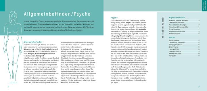 Actual product image Schüssler-Salze, Quickfinder (German, Guenther H. Heepen, 2018)