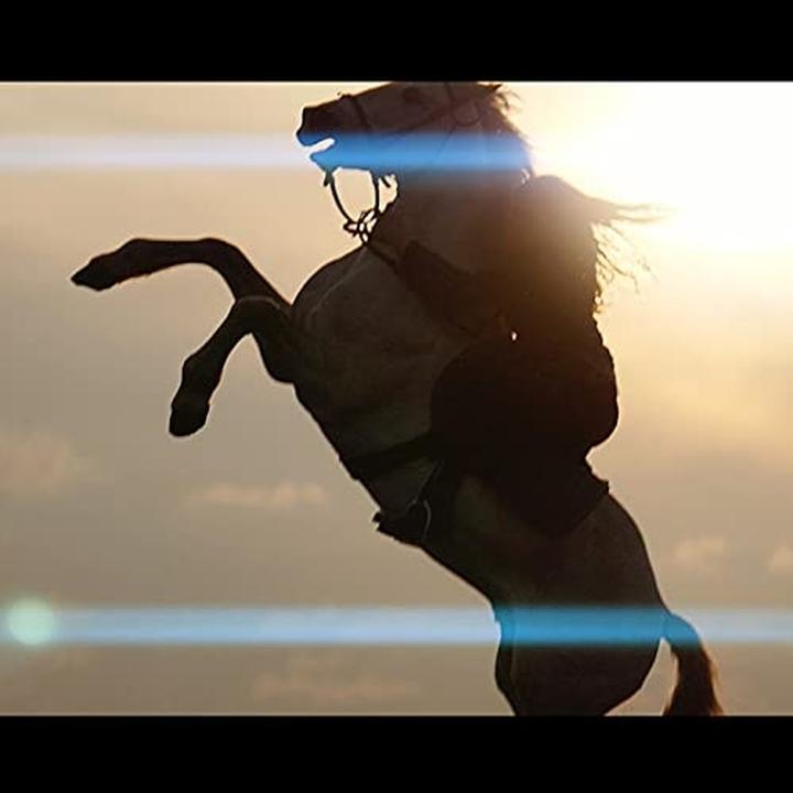 Produktbild Sirui 75 mm F1.8 anamorph (Sony E, APS-C / DX)