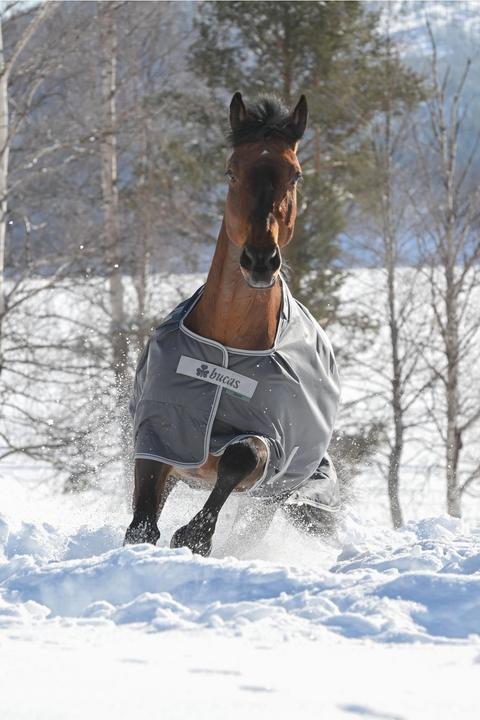 Image du produit Bucas Couverture d'hiver Smartex Extra Classic 300g (145 cm)