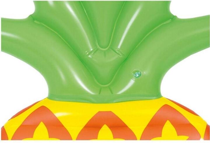 Actual product image Jilong Pineapple