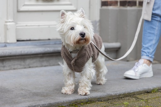Image du produit Designed by Lotte Pull pour chien Madeleine (S, Pull-over pour chien)