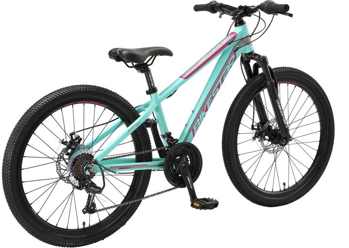 Actual product image Bikestar Hardtail (32 cm)