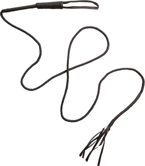 Image du produit Widmann fouet