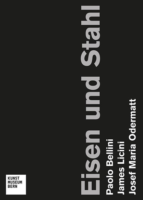 Produktbild Eisen und Stahl (Deutsch, Ulrich, Mario/Chiappini, Rudy/Frehner, Matthias/Loock, Botta, 2013)