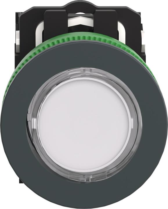 Actual product image Schneider Electric Illuminated pushbutton, compl., flush, XB5FW31B5