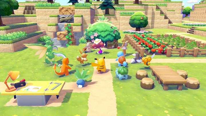 Actual product image Nintendo Pokémon Pokopia (Switch 2, EN)
