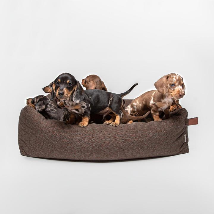 Produktbild Cloud 7 Hundebett Sleepy Deluxe (Hund)