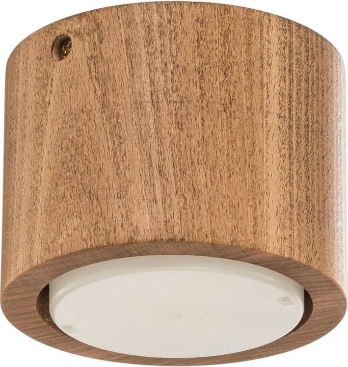 Envostar Ernest (GX53)