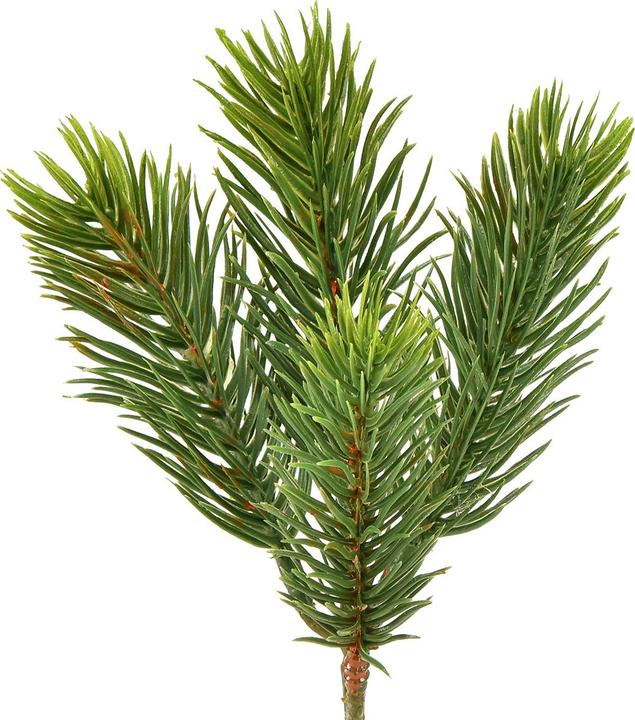 Viana Knstliche Fichtenzweige Dekoration fr Weihnachten 24 Stck