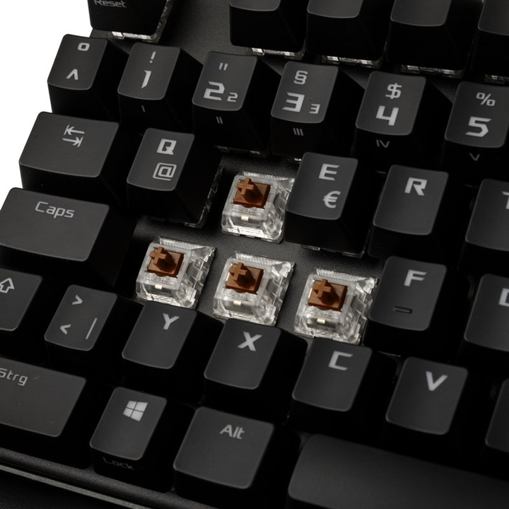Actual product image ASUS 90MP00N7-BKDA00 (DE, Cable)