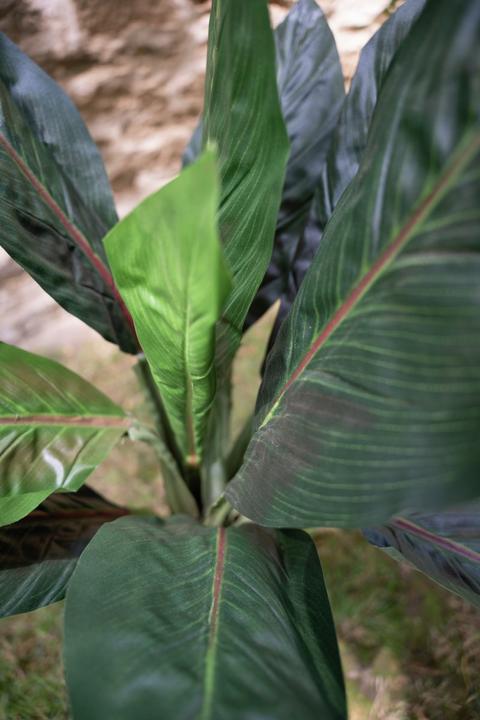 Produktbild Europalms Mangoldbusch, künstlich, 45cm