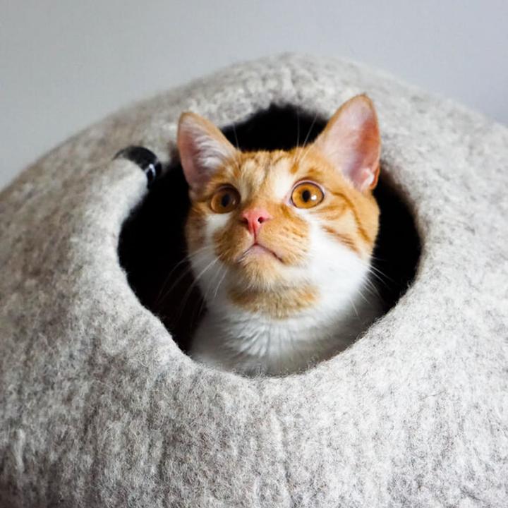 Actual product image LucyBalu PEBBLE KatzenhÃ¶hle aus Filz (Cat)