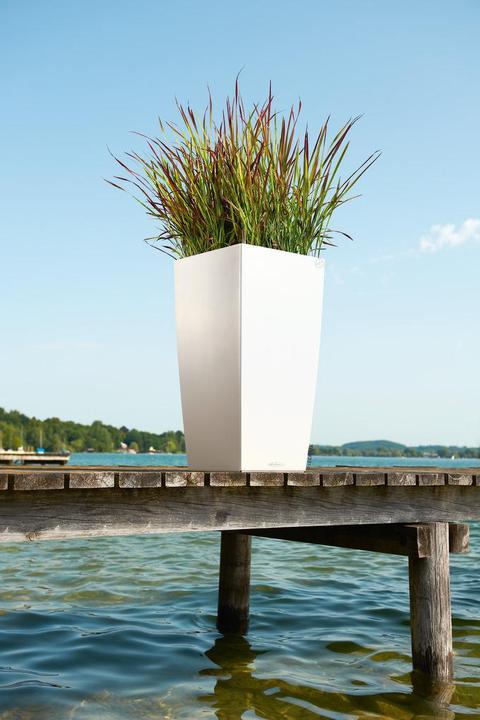 Produktbild Lechuza Cubico Color (22 cm)