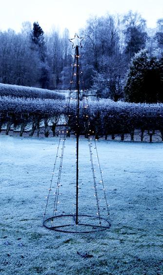 Actual product image Star Trading Light Tree