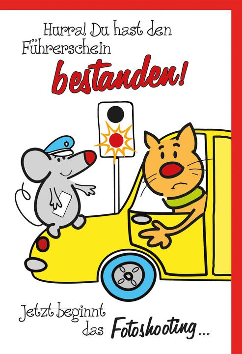 Image du produit Braun + Company Permis de conduire Humour (1 pcs)