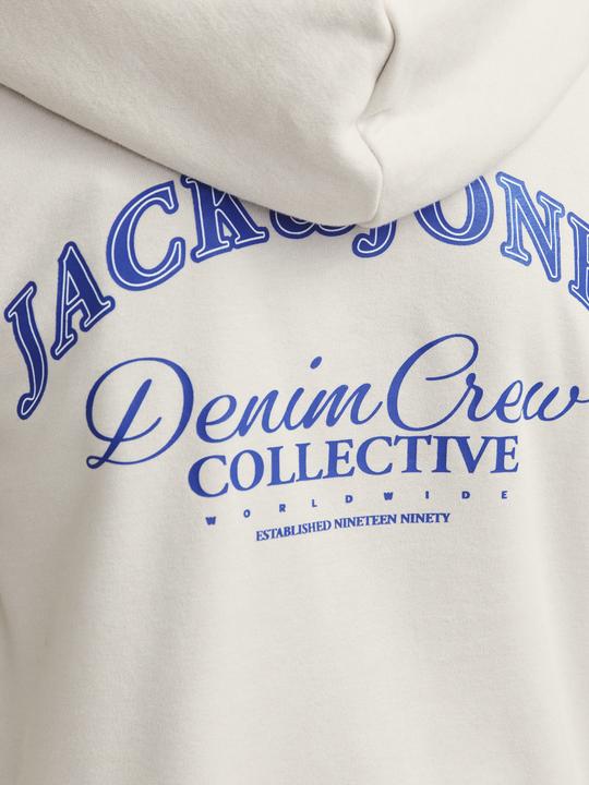 Image du produit Jack & Jones Jjebrandes Backp Relaxed Sweat H Sn Jnr (176)