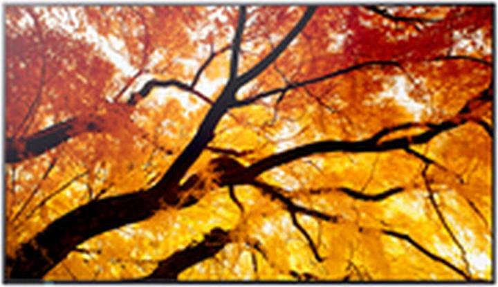 Actual product image NEC Sharp MultiSync M322 32", FHD, 24h 450cd/m2 xx% Haze (1920 x 1080 pixels, 32")