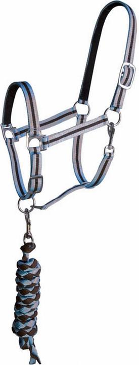 Image du produit TdeT Licol pour cheval double + longe