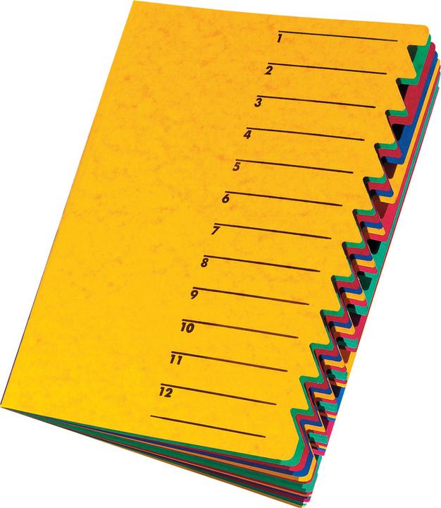 Produktbild Pagna Ordnungsmappen Easy (A4, 1x)