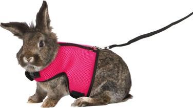 Produktbild Trixie Softgeschirr (Katze, Spazieren)