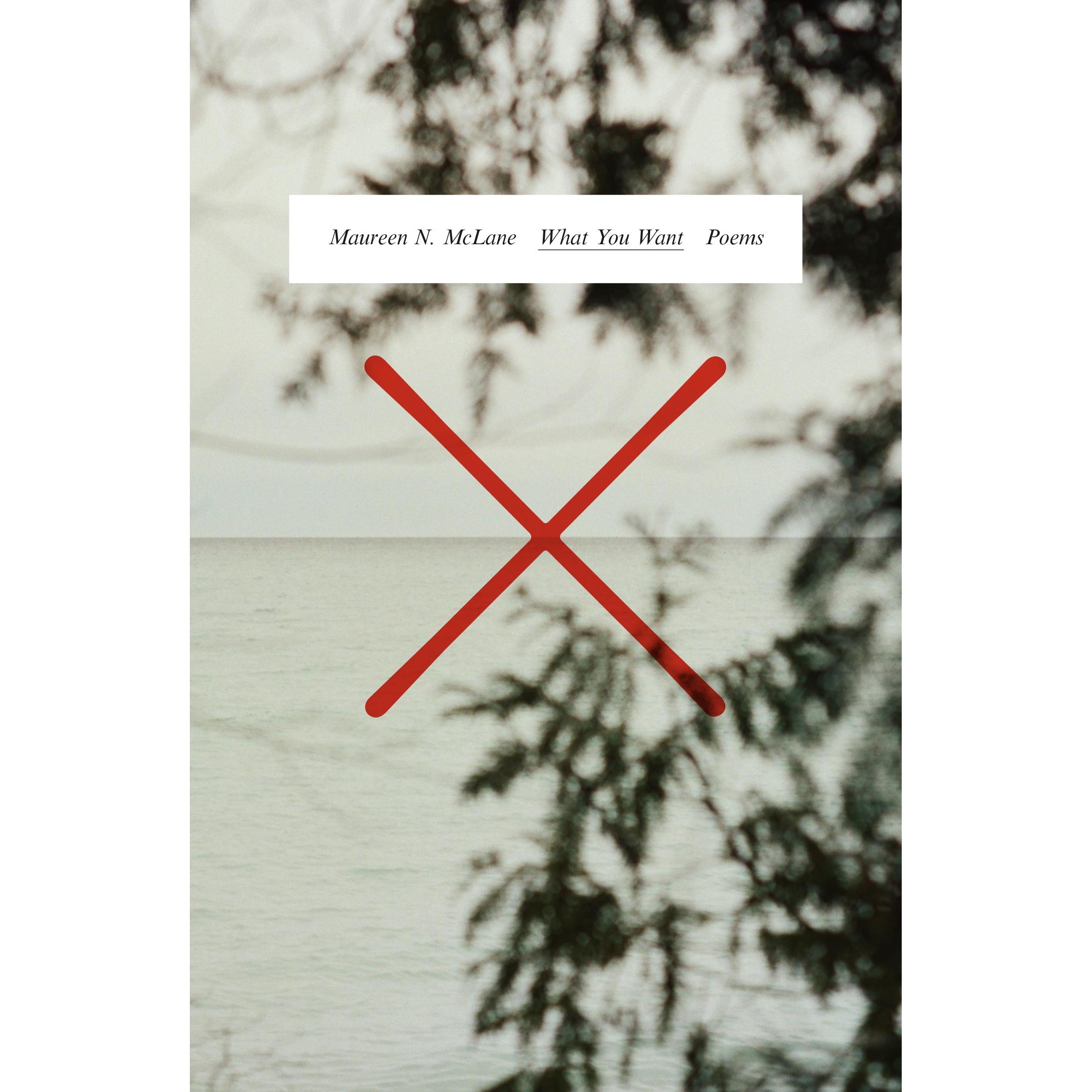 What You Want: Poems, Belletristik von Maureen N. McLane