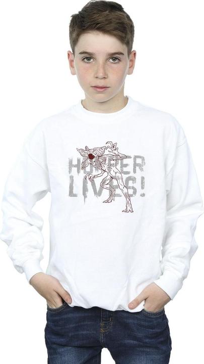 Image du produit Netflix - Sweat STRANGER THINGS HOPPERS LIVE - Garçon (128)