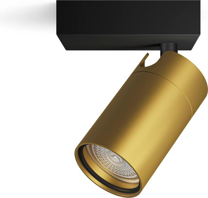 Produktbild Philips Idris (GU10)
