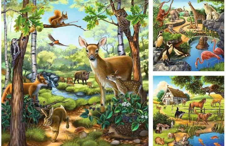 Image du produit Ravensburger Forêt / Zoo / Animal de compagnie (49 pièces)