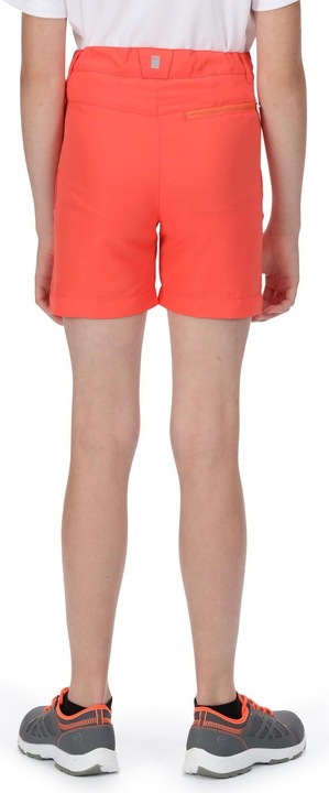 Actual product image Regatta Sorcer Ii Shorts (116)