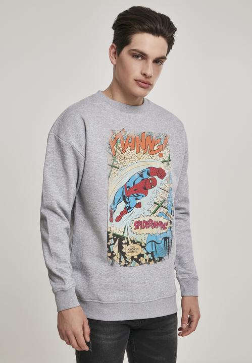 Image du produit Mister Tee Spiderman Ftanng Crewneck (XL)