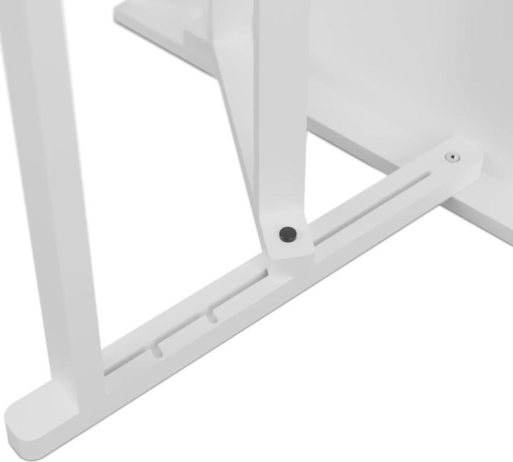 Actual product image Relaxdays Hunderampe (Dog, Foldable)