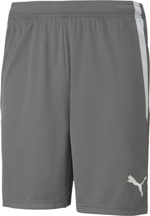 Produktbild Puma teamLIGA Shorts-704924 (48 E)