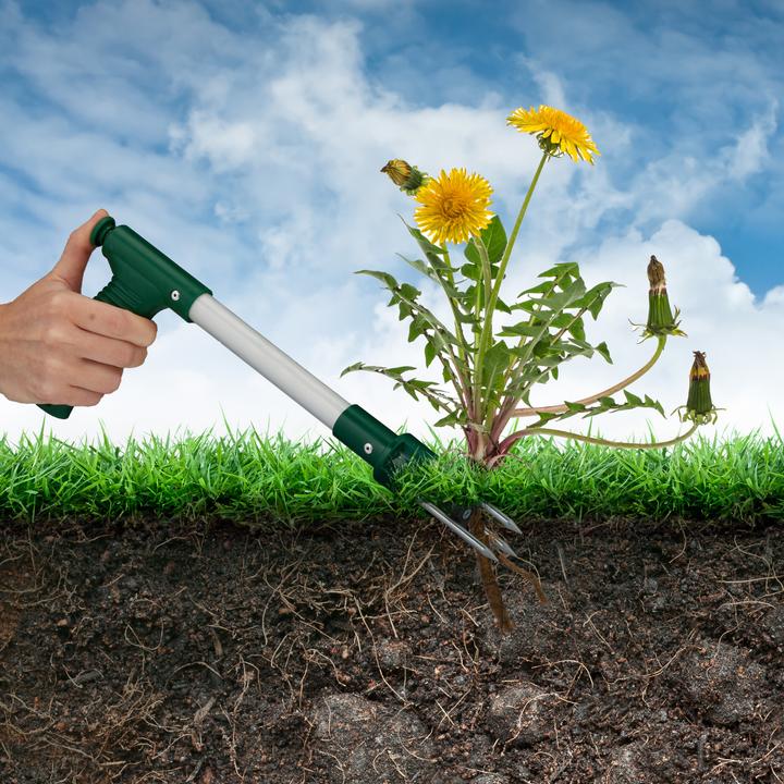 Actual product image Relaxdays Weeder