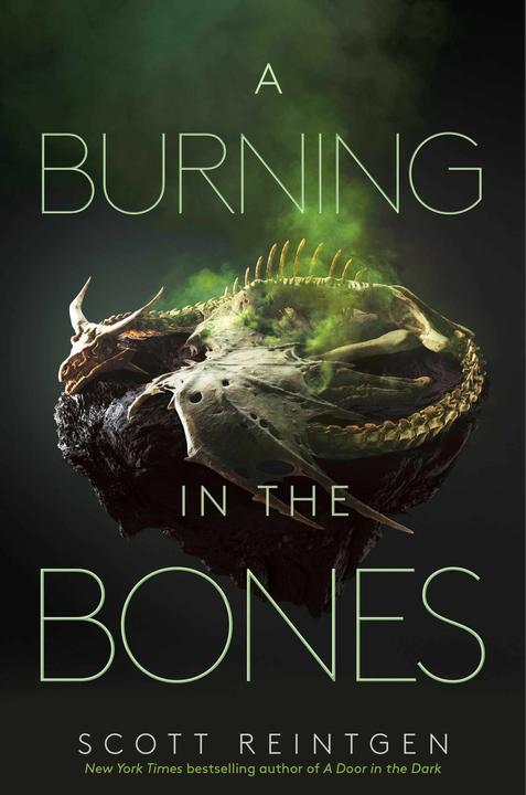 Produktbild A Burning in the Bones