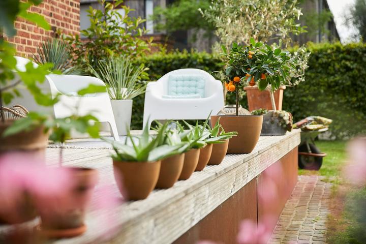 Produktbild Compo SANA "Die Leichte" Balkon- und Kübelpflanzenerde - torffrei (35 l, Erde ohne Torf)