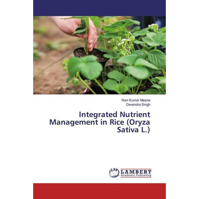 Integrated Nutrient Management in Rice (Oryza Sativa L.), Fachbücher von Devendra Singh, Ravi Kumar Meena