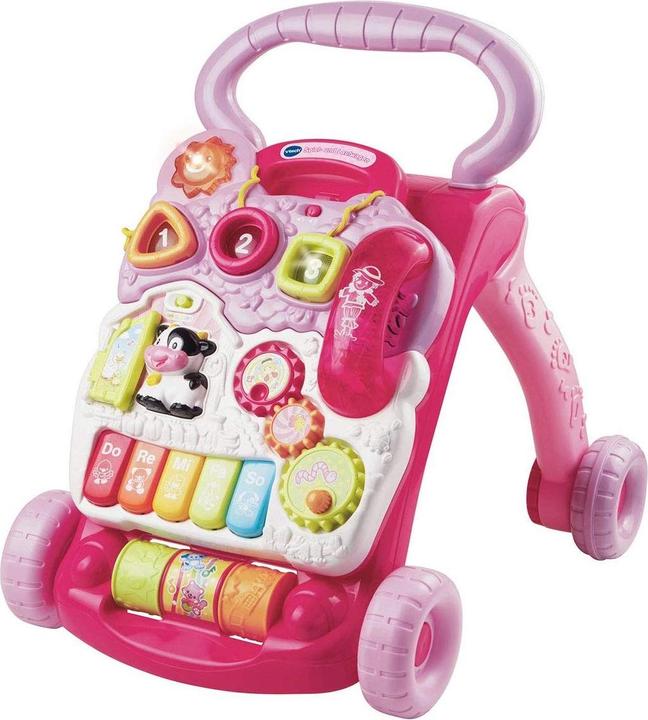 Actual product image VTech Baby Walker 80-077086, EasyMail, Pink