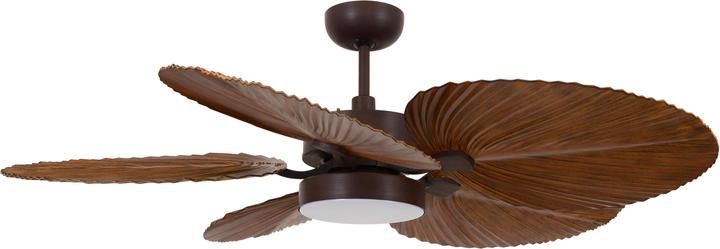 Actual product image Beacon Bali