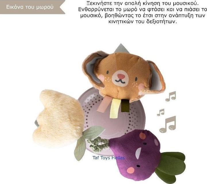 Actual product image Taf Toys TAF Garden - Take Along Mobile (259-13275)
