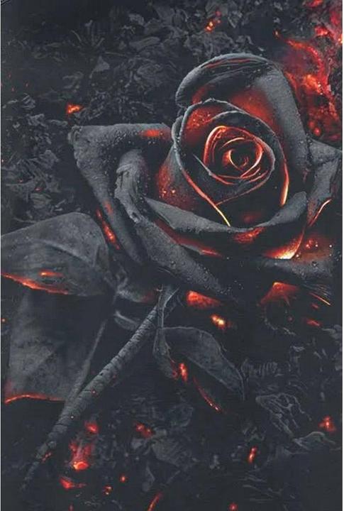 Produktbild Spiral Oberteil Ärmellos (XXL)