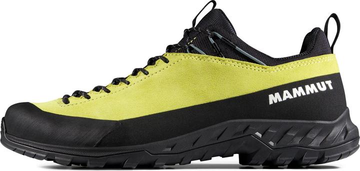 Produktbild Mammut Alnasca IV Low LTH Men (40)