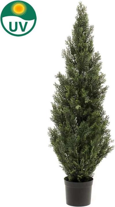 Produktbild Emerald Merv (120 cm)