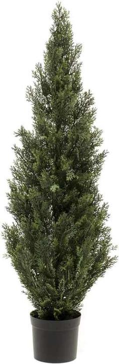 Produktbild Emerald Merv (120 cm)