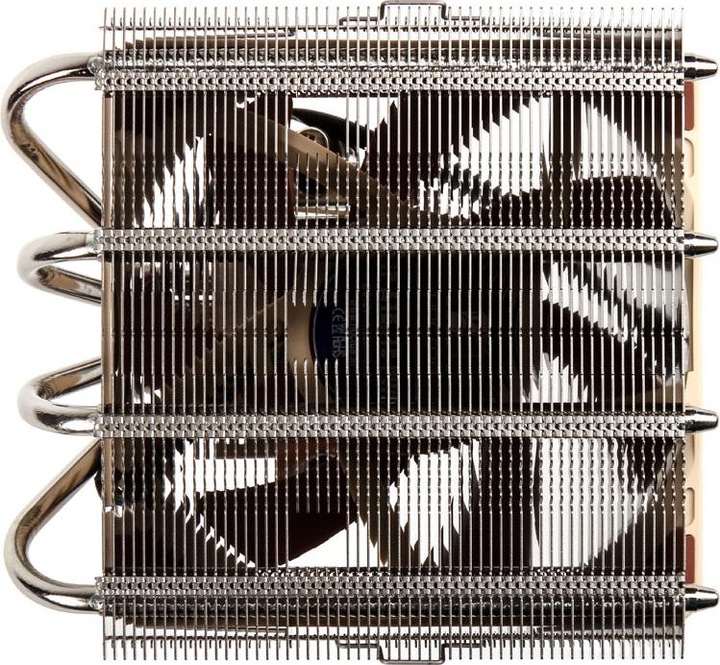 Actual product image Noctua Nh-L12s (70 mm)