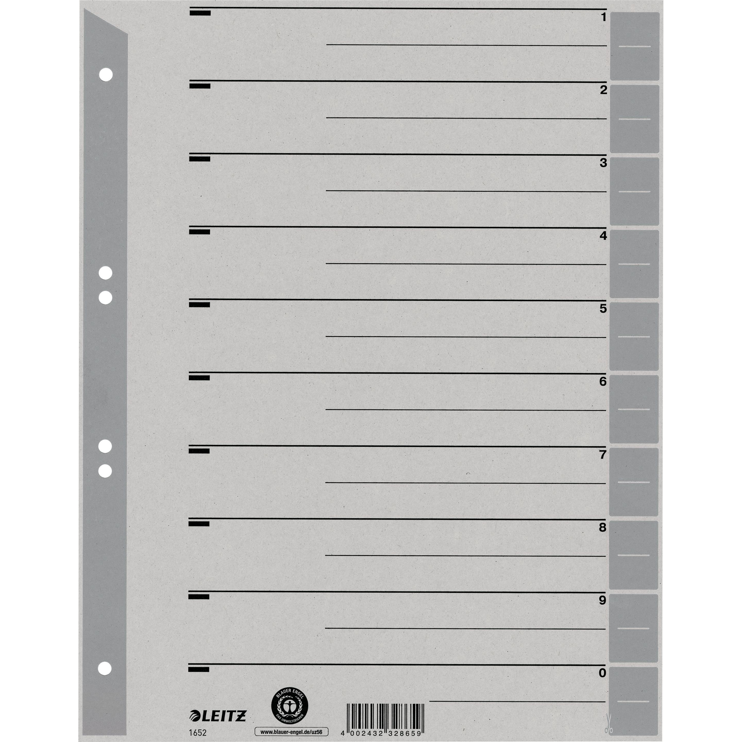 Leitz, Ordner Zubehör, Trennblätter, A4 Überbreite, Kraftkarton 230g/qm, grau Blanko-Registertaben können in verschie