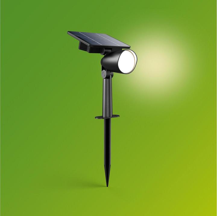 Productafbeelding Philips Outdoor Ashlyn Solar (150 lm, IP44)