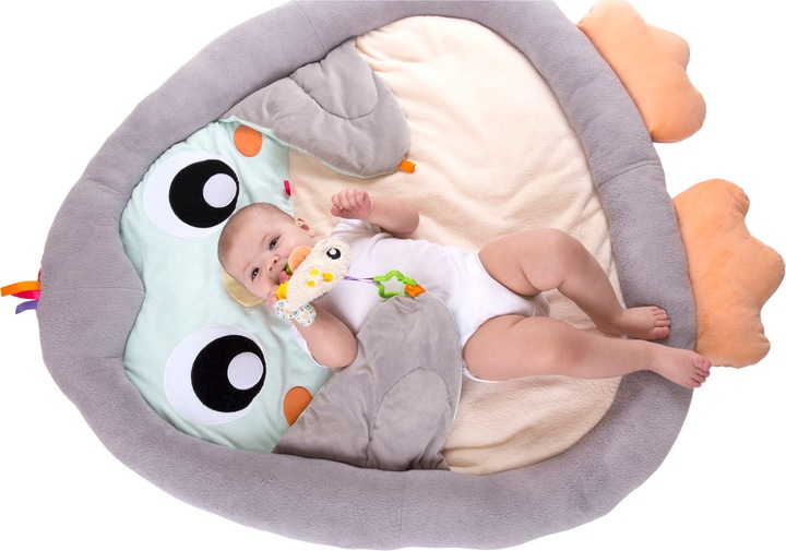 Actual product image Playgro Penguin