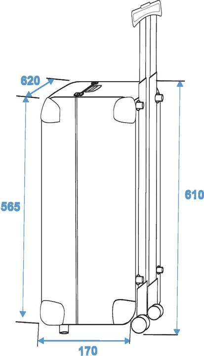 Actual product image Roadinger CDCase 200 CDs Trolley (Accessories)